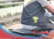 Pelaku Penganiayaan Driver Maxim dengan Busur Panah Diamankan Polsek Manggala